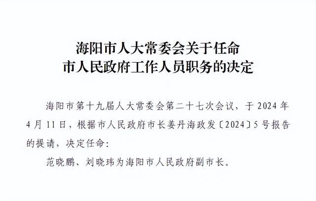 烟台市最新人事任免动态发布🎉🚀