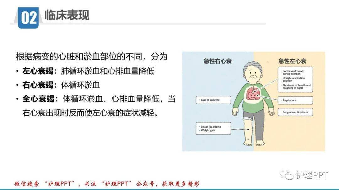 最新心衰护理查房步骤指南与PPT内容概述