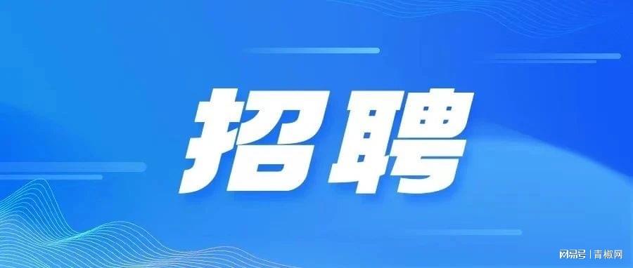峨眉最新招聘信息3099,峨眉最新招聘信息3099——引领科技潮流，开启智能生活新篇章