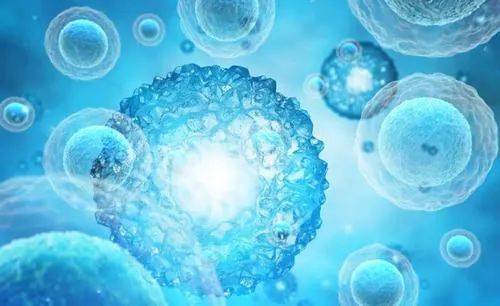 曙光初照的希望之光，视神经治疗最新方法揭秘