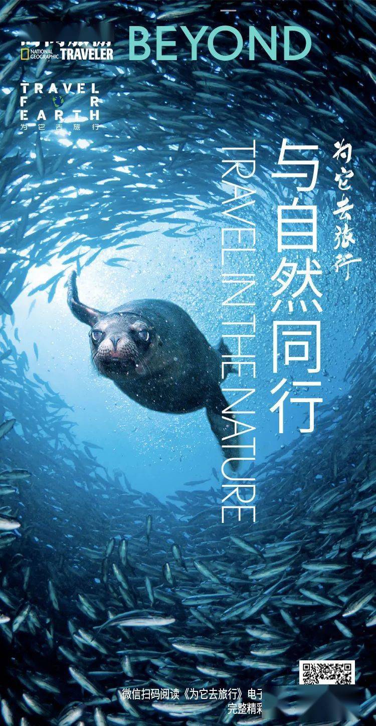 揭秘地心世界，最新地心人被证实，深入探索之旅启程！