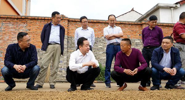 元胡最新价格行情分析与论述