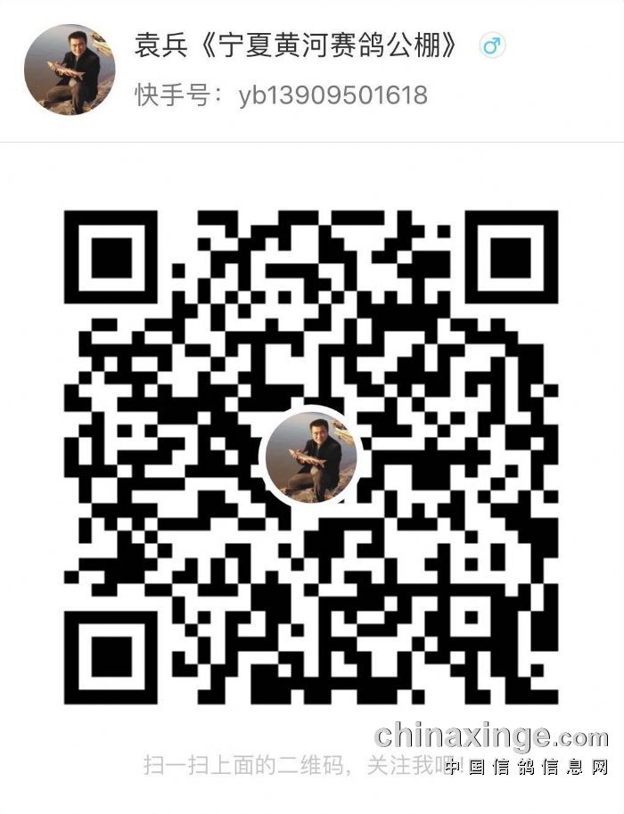 宁夏黄河赛鸽公棚最新公告通知