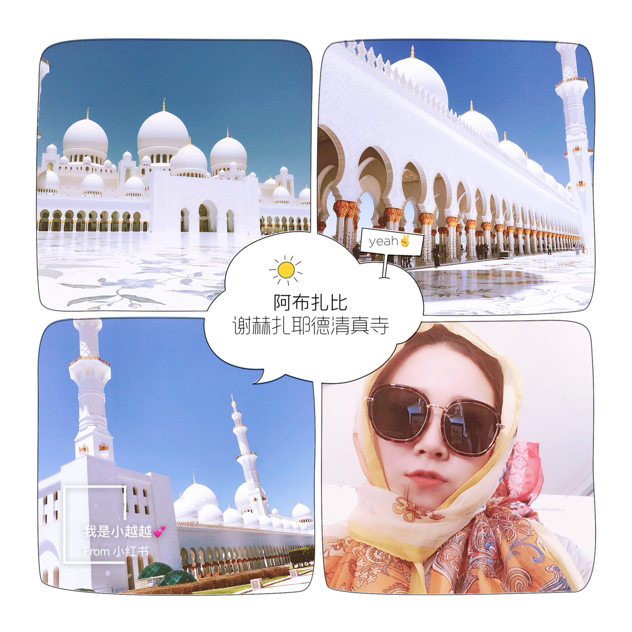最新汽油价格调整消息与一场自然美景探索之旅的启程